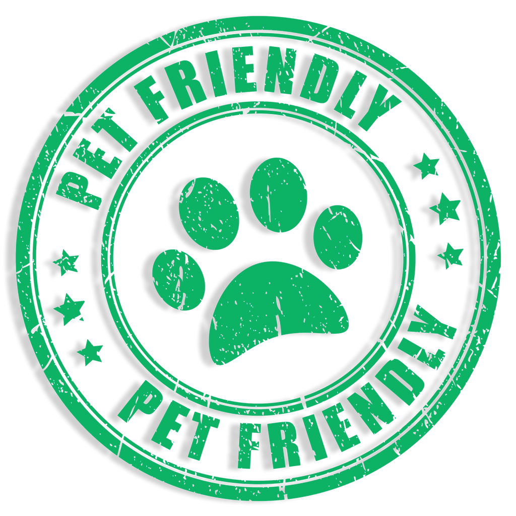 Black Cumin Seed Elixir