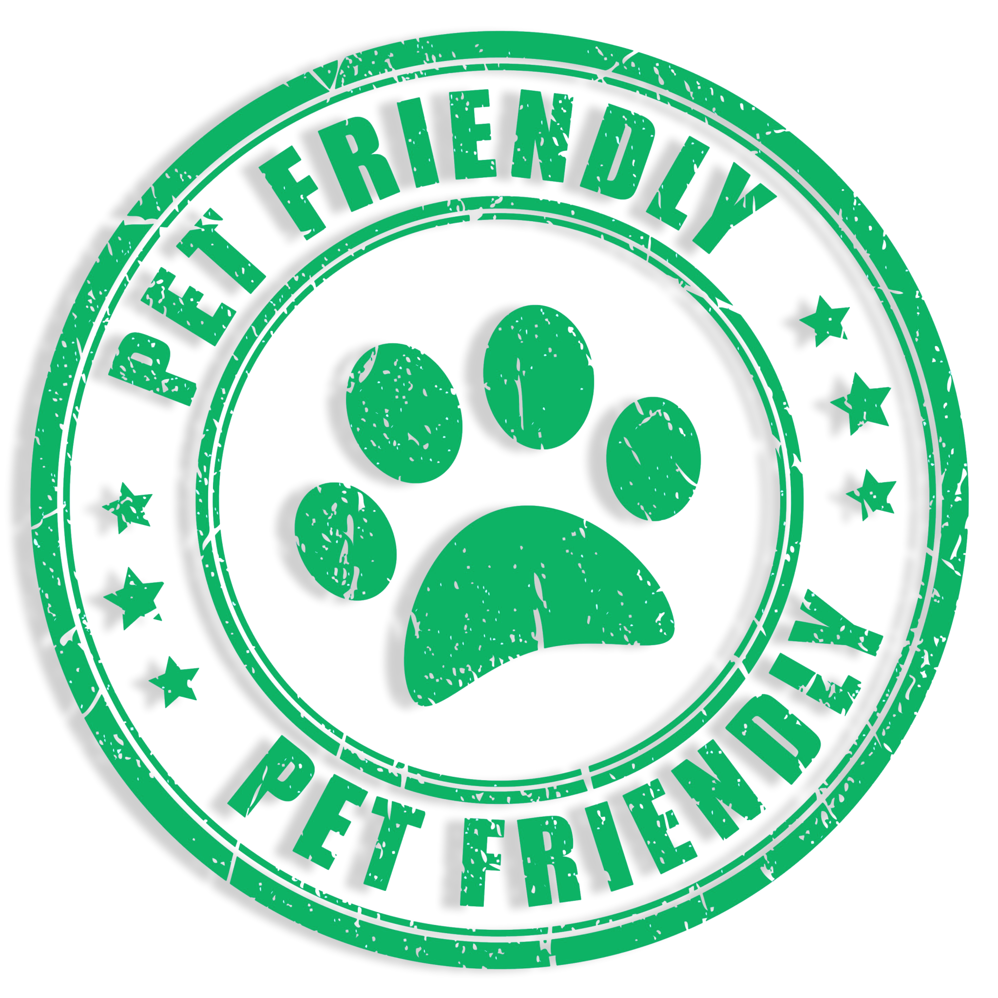 Black Cumin Seed Elixir